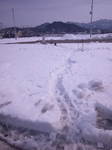 120316_101543.jpg