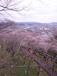 120422_100756.jpg